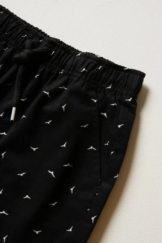2 Pack Birds Shorts Black & Brown