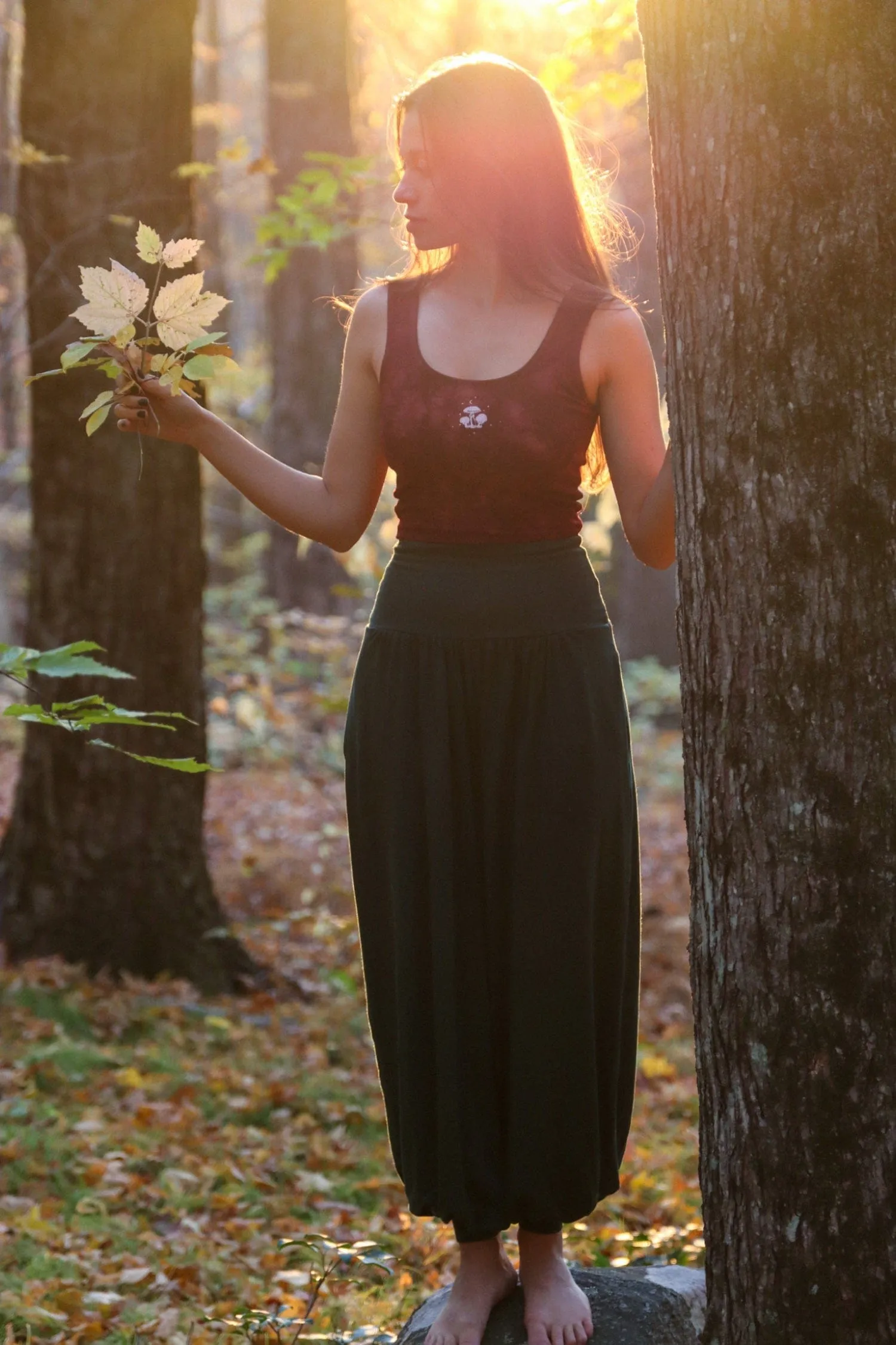As Above, So Below Genie Pants