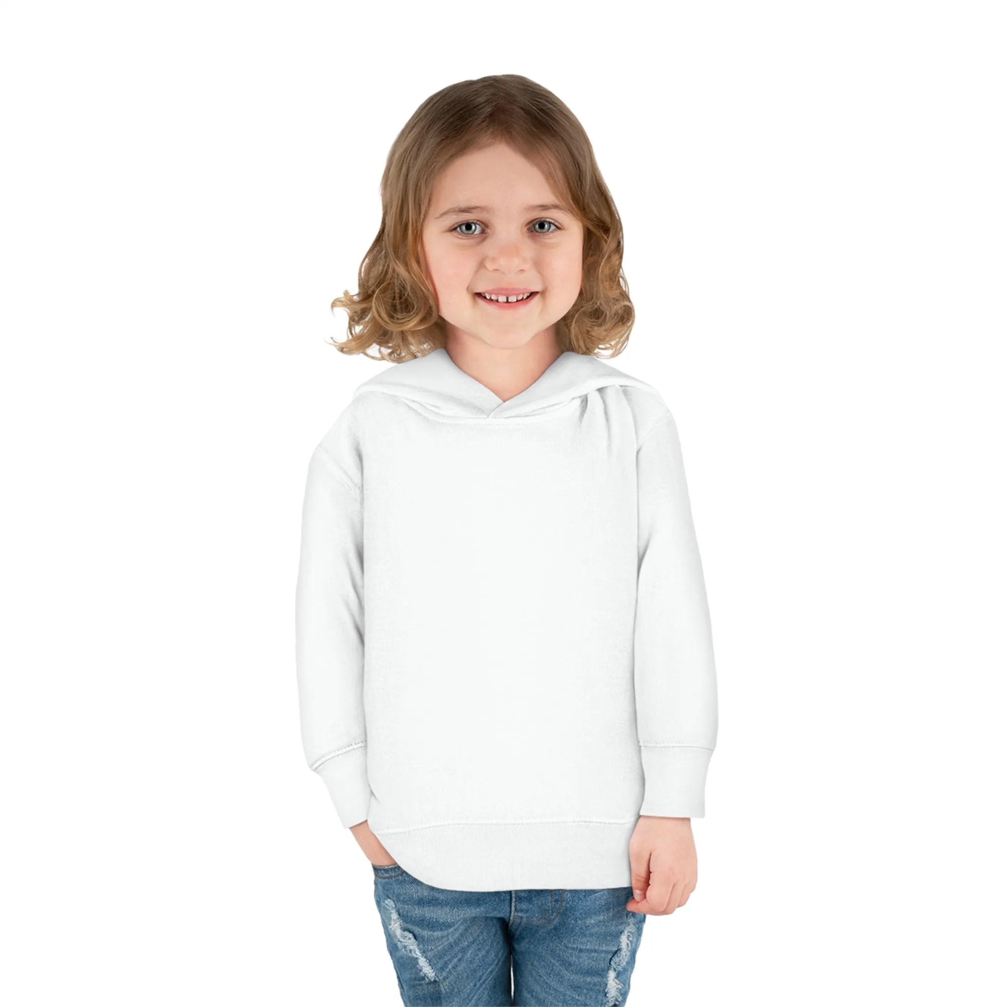 Link's Martial Arts Toddler Pullover Fleece Logo Hoodie